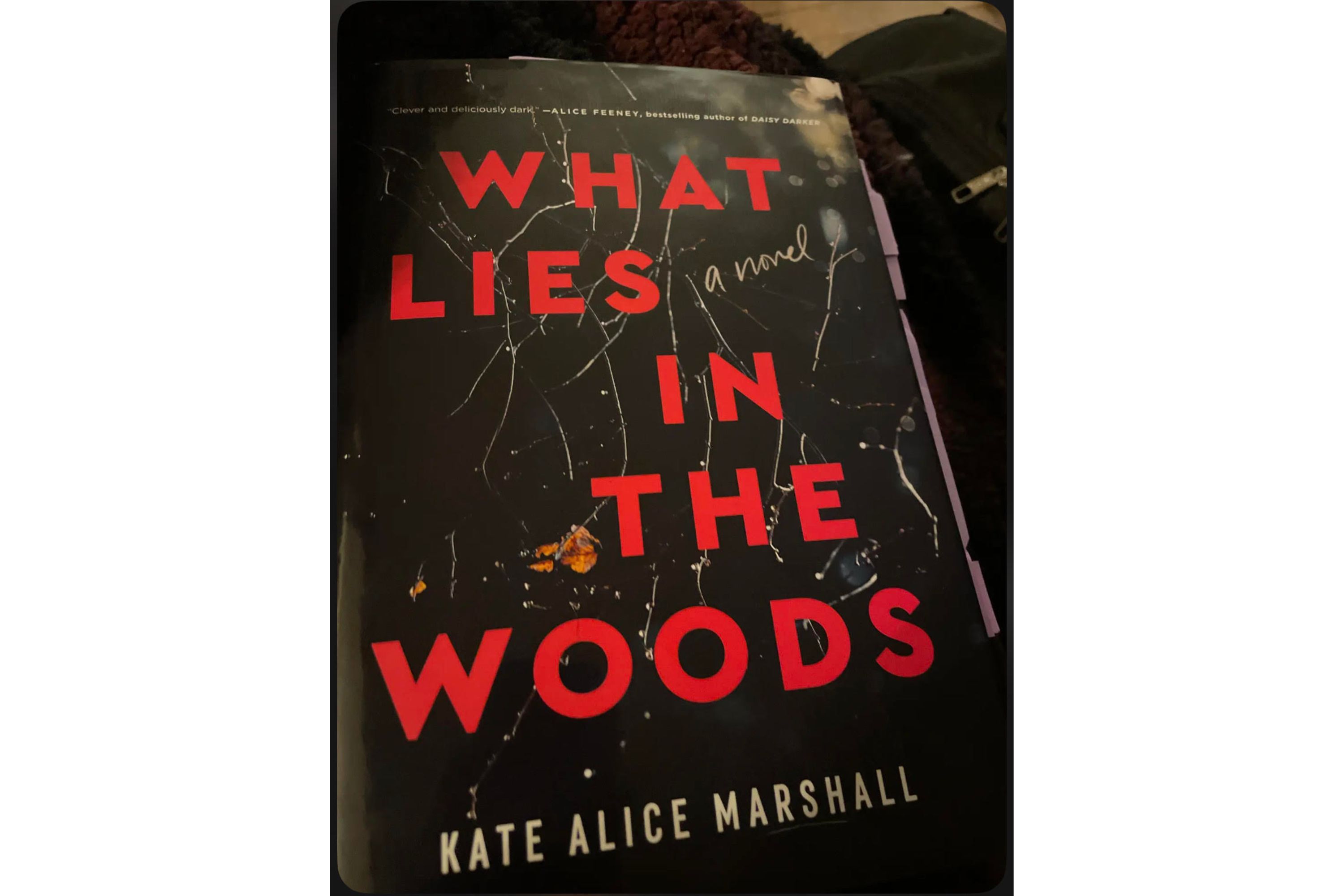 Book review: "What Lies in the Woods" - Vimarsana News