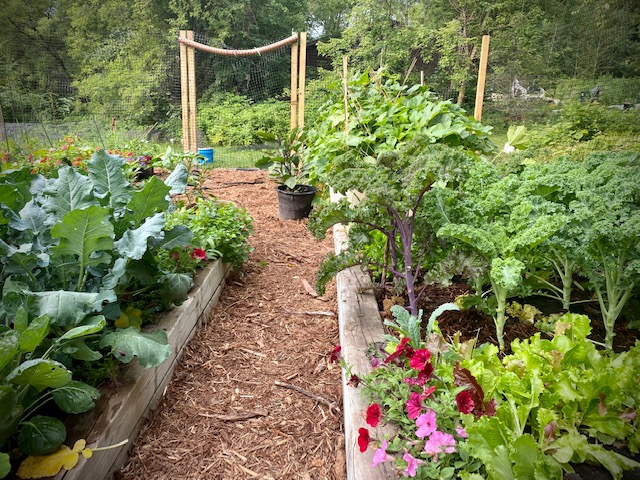 Gardeners start to think spring and plan for this year's gardening season - Agweek | #1 source for agriculture news, farming, markets - Vimarsana News