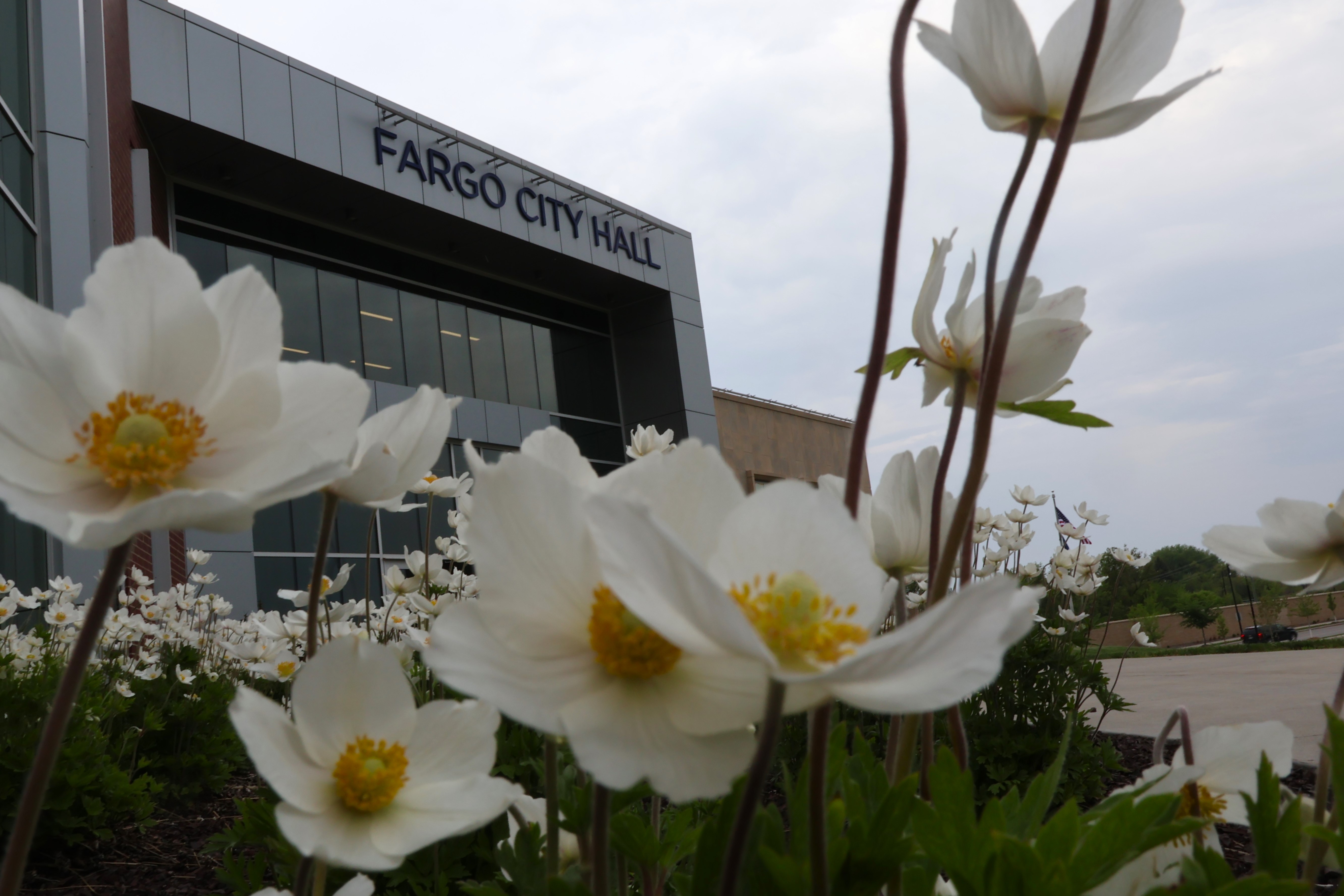 Fargo City Commission candidates give two-word campaign summaries during Tuesday forum - Vimarsana News