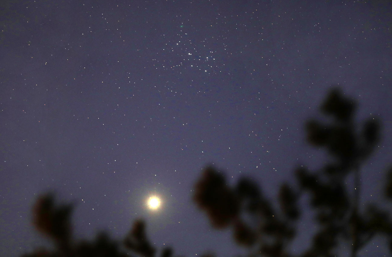 Astro Bob: Watch Venus buddy up to Pleiades - Vimarsana News