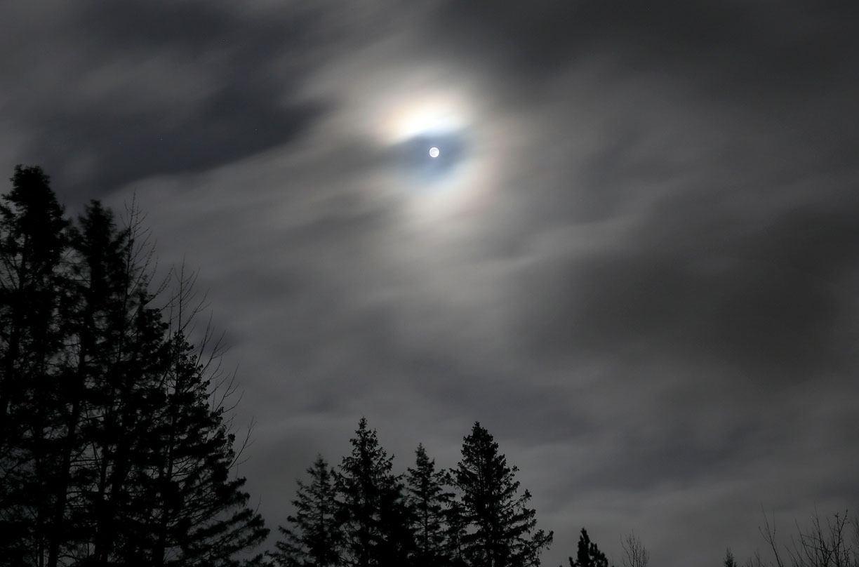 Astro Bob: Swollen star eats planet; Full Flower Moon blooms - Vimarsana News