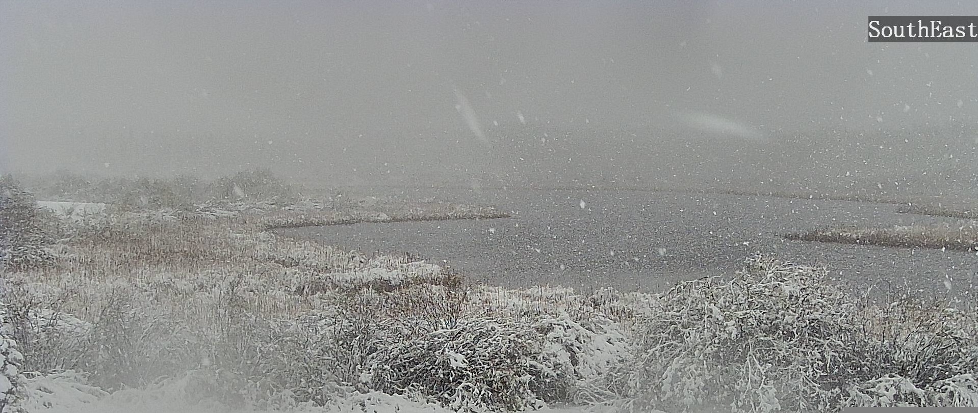 John Wheeler: The mechanics of a late season snow - Vimarsana News