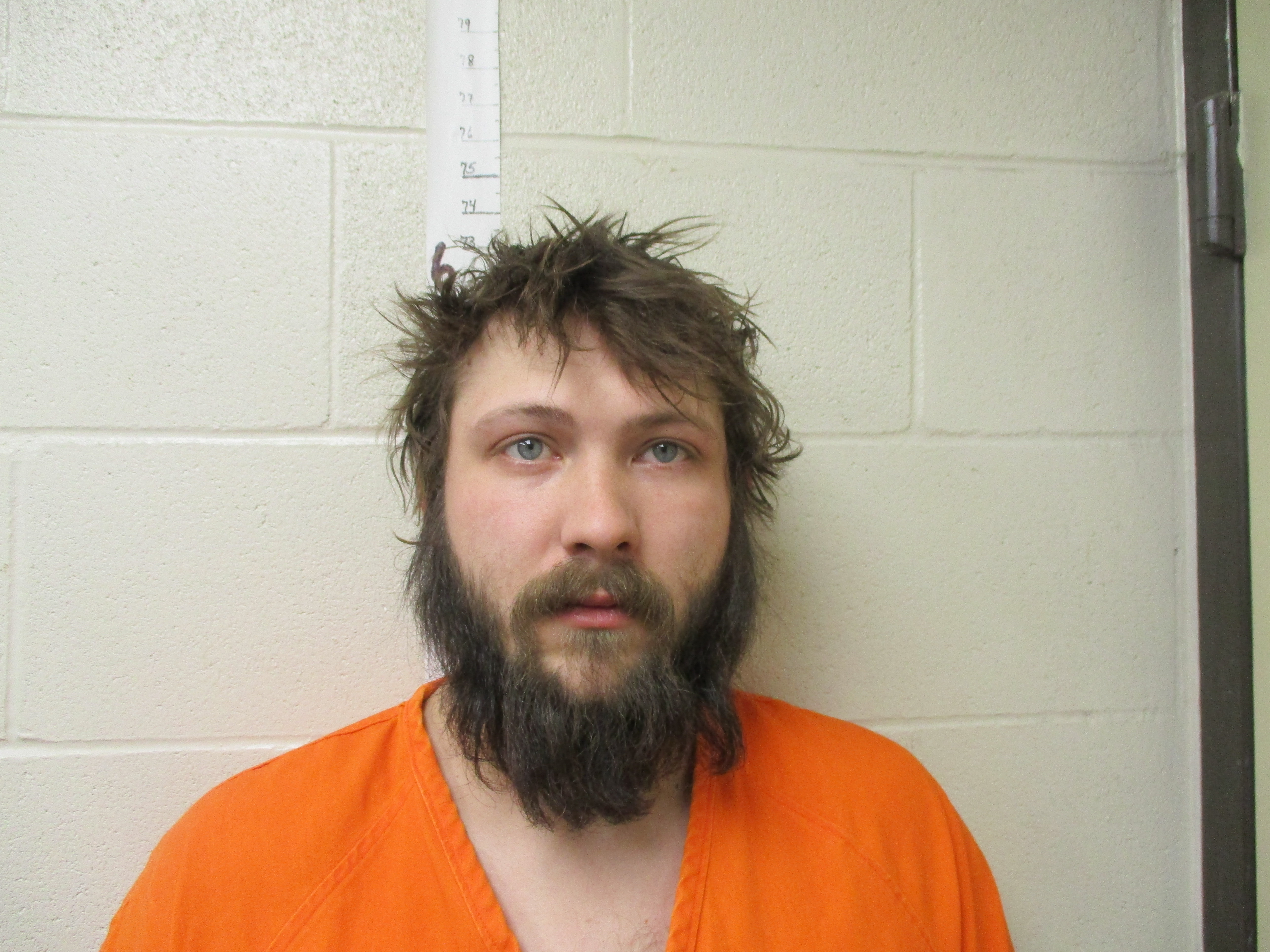 Volk sentenced to five years for terrorizing and criminal trespass - Vimarsana News