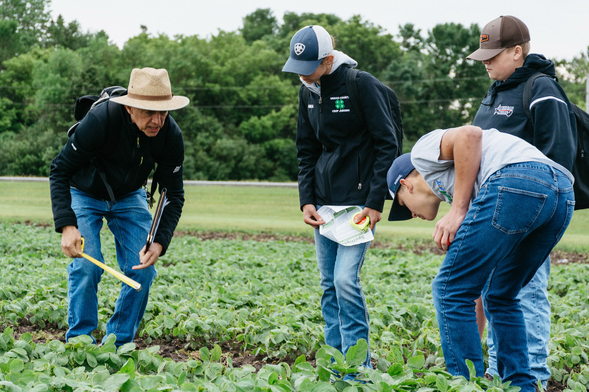NDSU Extension to host Junior Crop Scout School at Carrington - Vimarsana News