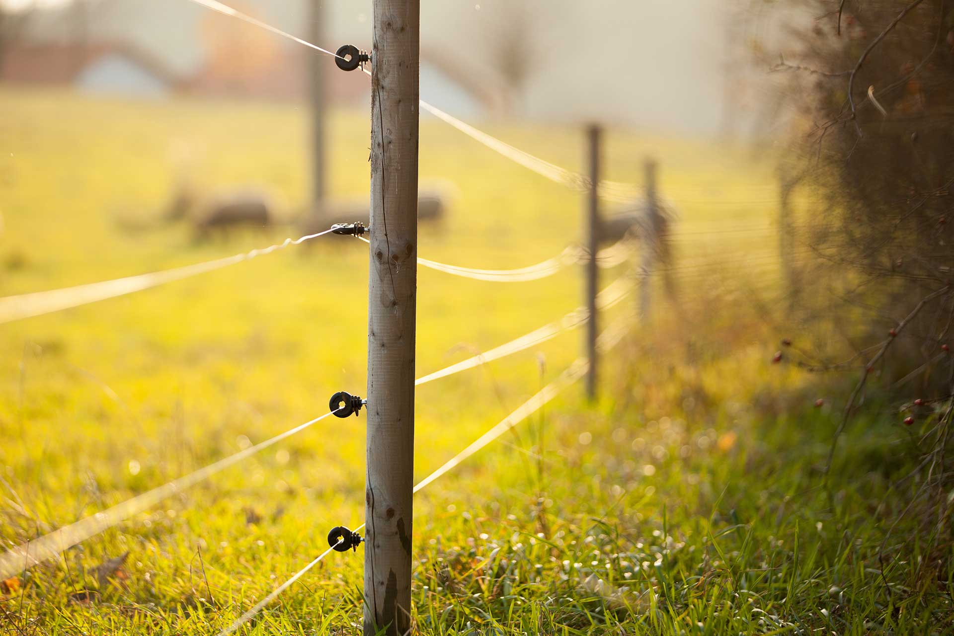 Fence making workshop coming to Pine River - Vimarsana News