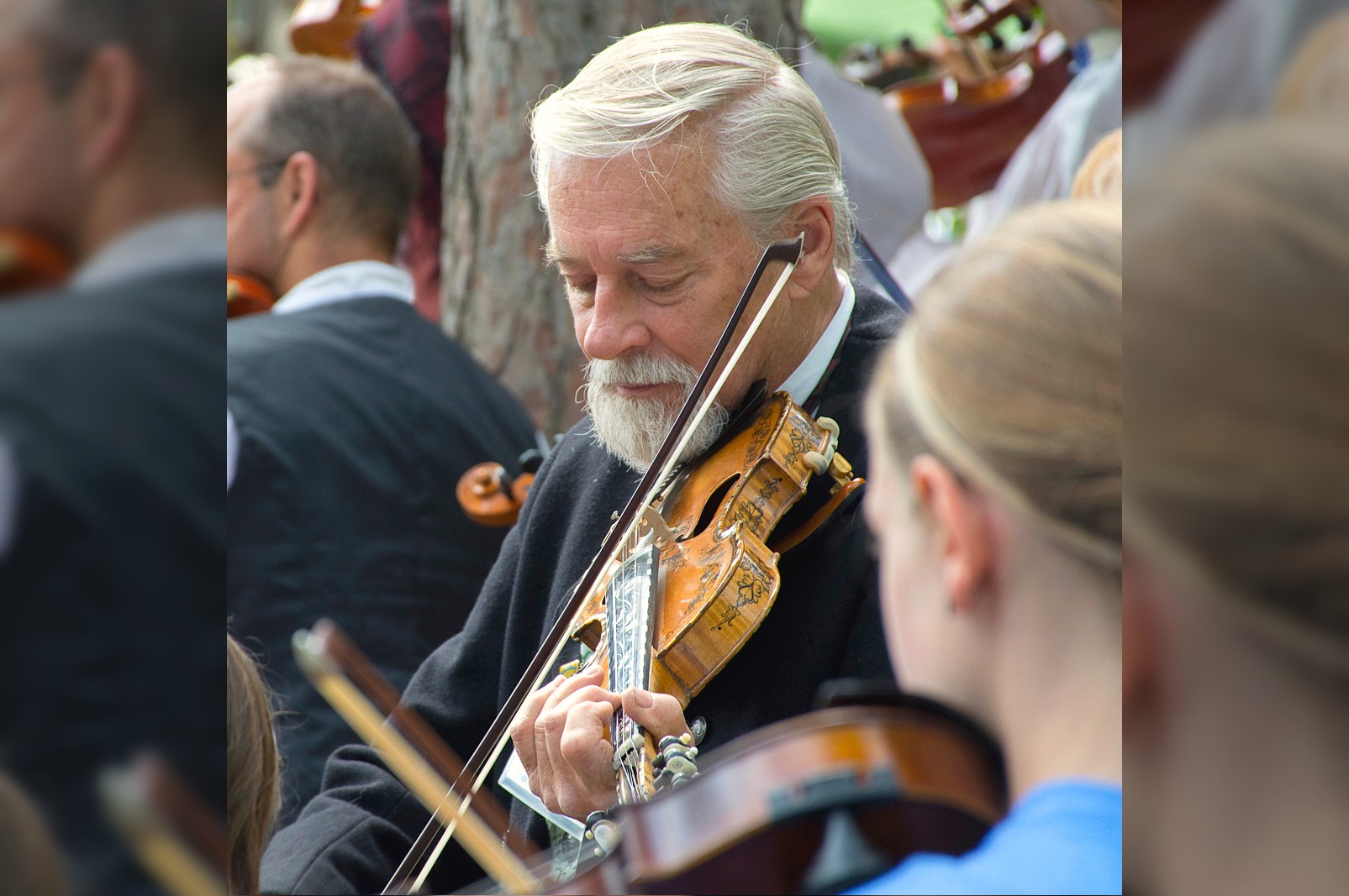 Minnesota fiddle builder brings new life to an old Norwegian folk instrument - Vimarsana News