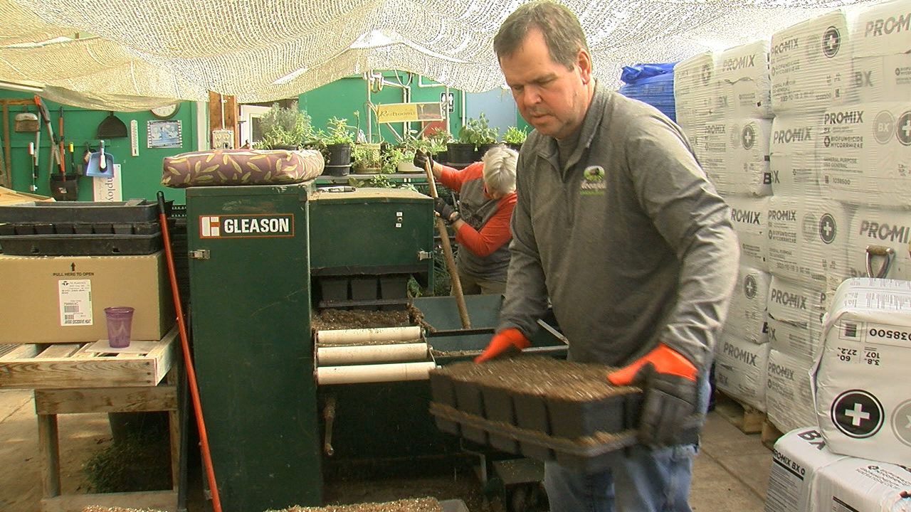 Bloomfield Garden Center in Sabin prepares for 50th year in business - Vimarsana News