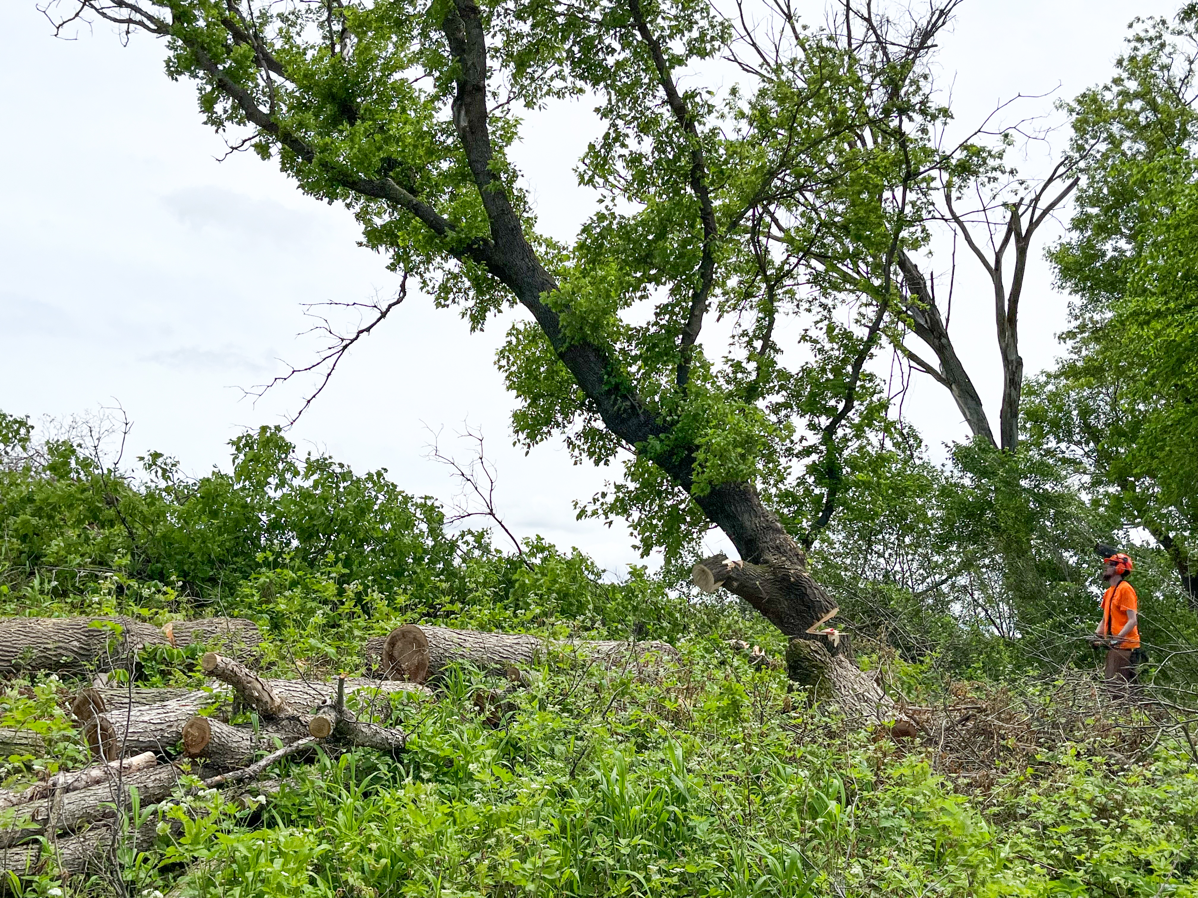 420 acres of new wildlife management area land is a 'huge win for biodiversity,' local groups say - Vimarsana News