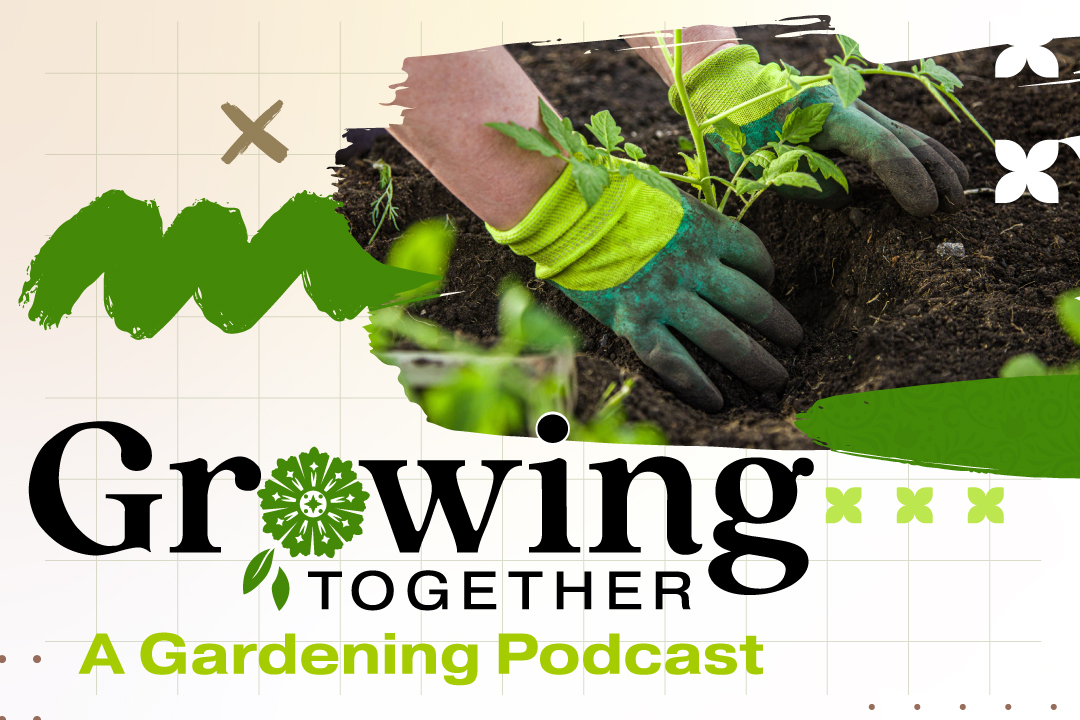 Introducing 'Growing Together: A Gardening Podcast' with Don Kinzler and John Lamb - InForum | Fargo, Moorhead and West Fargo news, weather and sports - Vimarsana News
