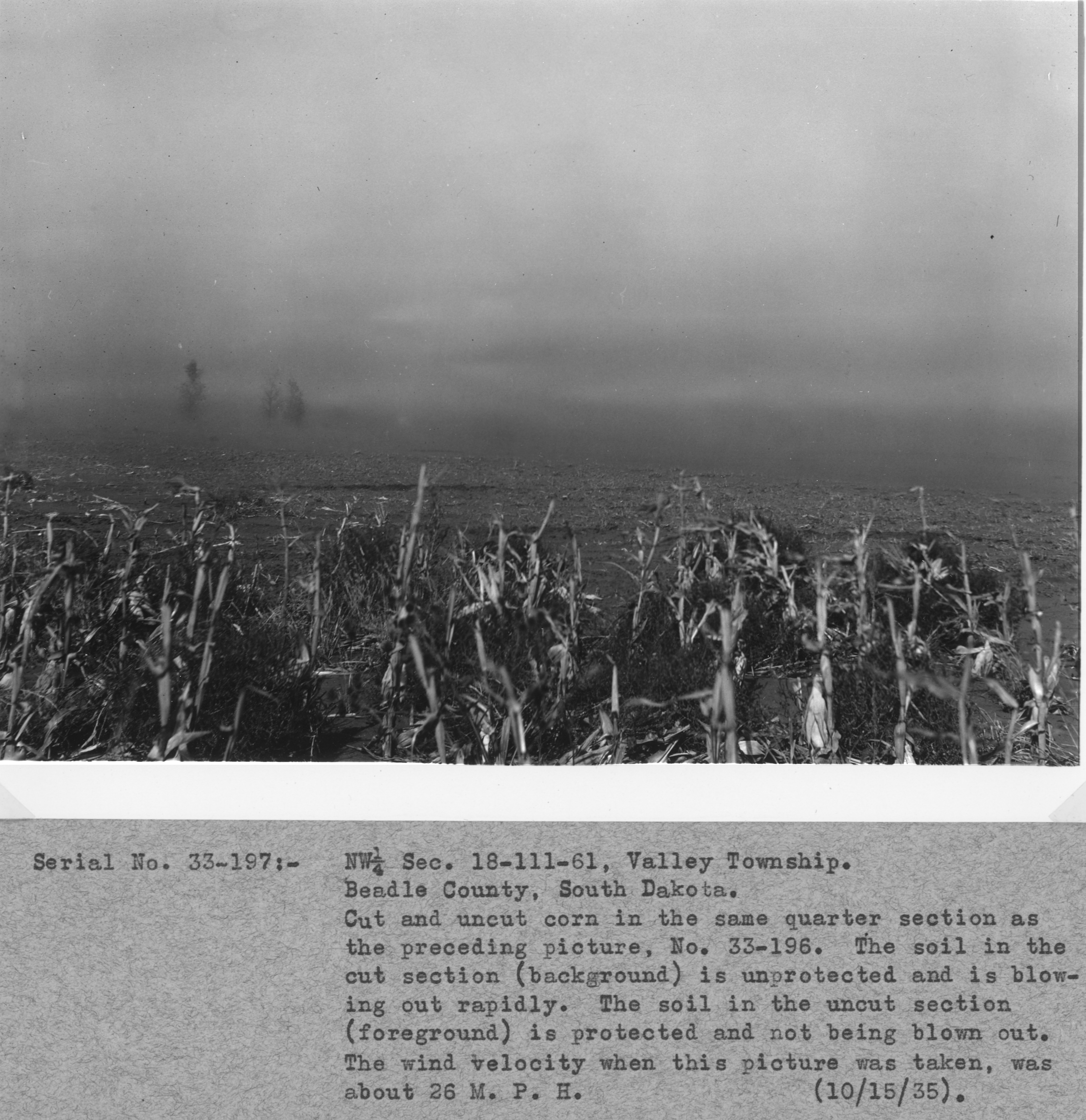 New museum exhibit takes visitors back to the days of the Dust Bowl - Vimarsana News