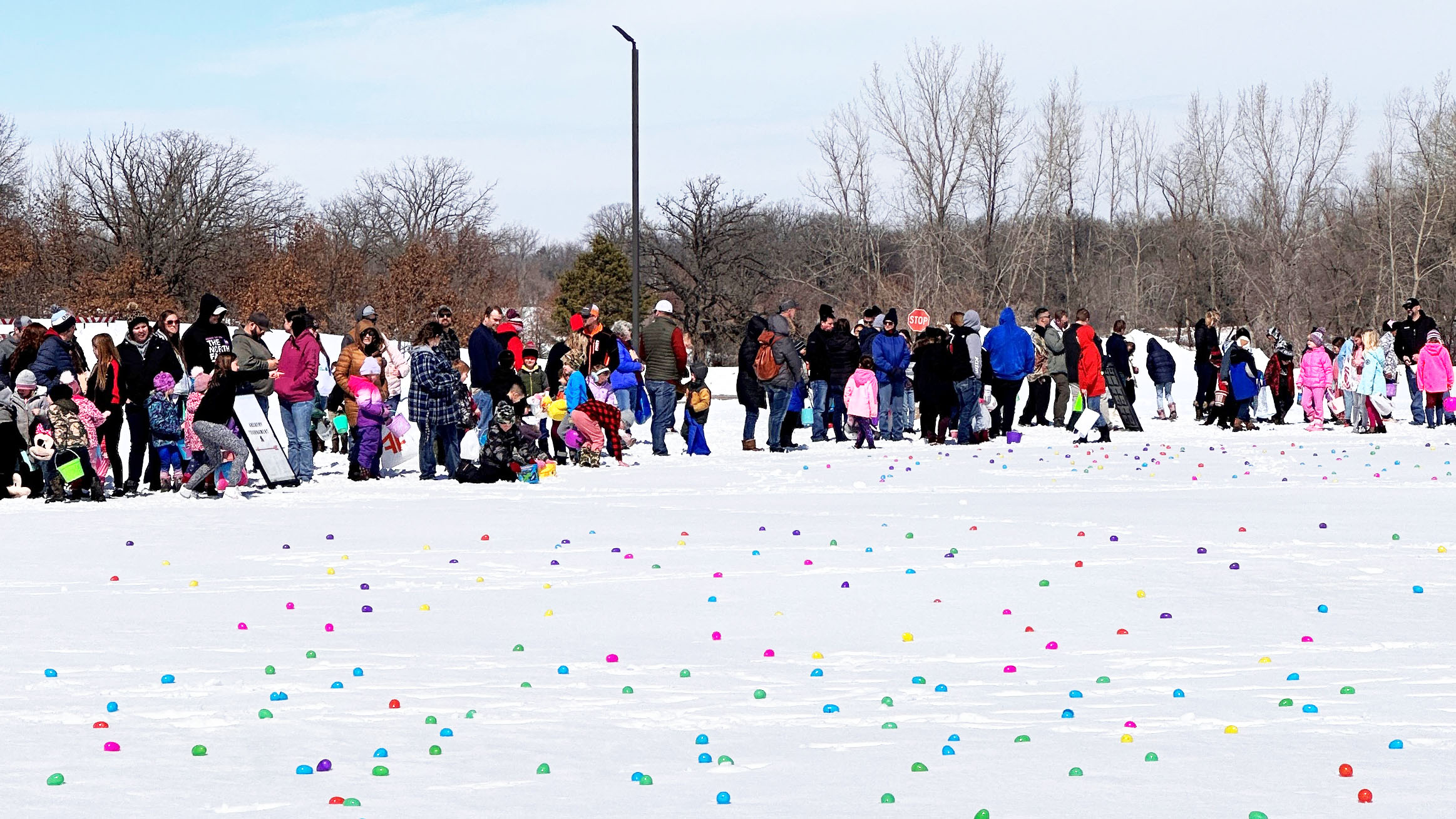 Hundreds of children find more than 2,000 eggs 'hidden' at Woodland Elementary School in Alexandria - Vimarsana News