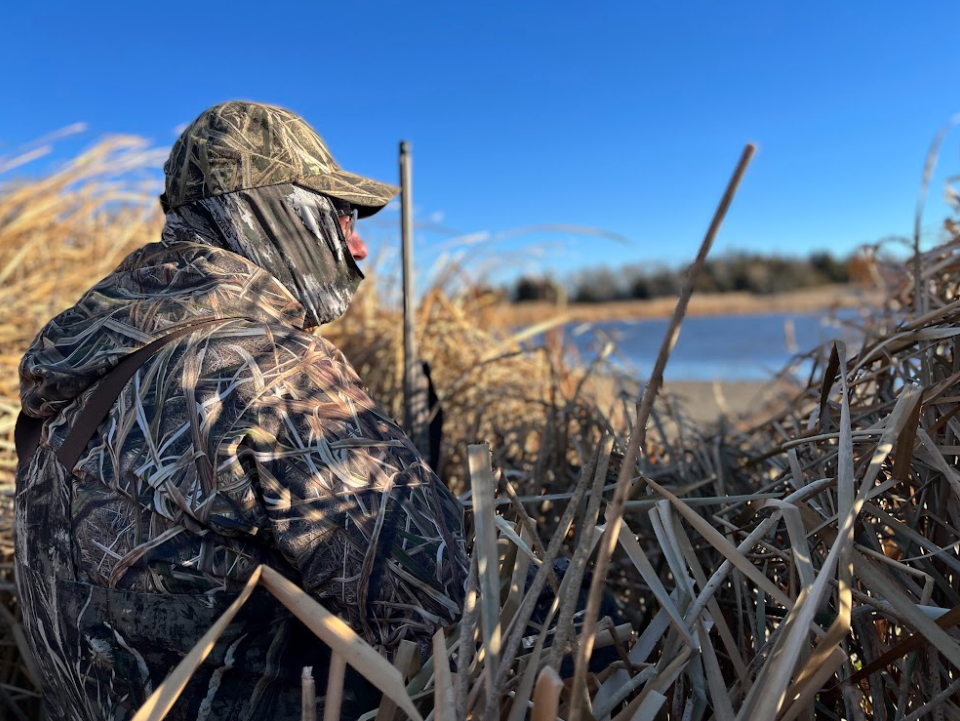 Hundreds of opponents convince commission to scale back expansion of out-of-state duck licenses - Vimarsana News