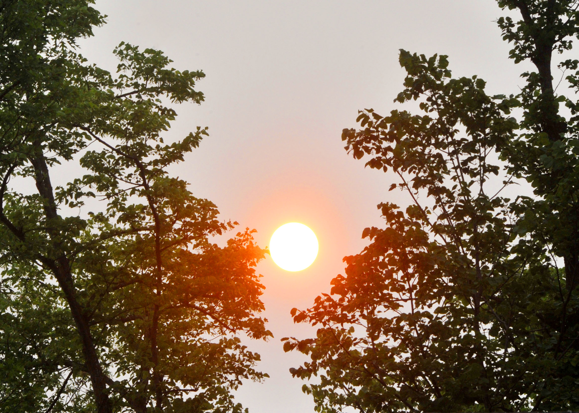 Air quality alert issued due to ozone for central and southern Minnesota, including Alexandria - Vimarsana News