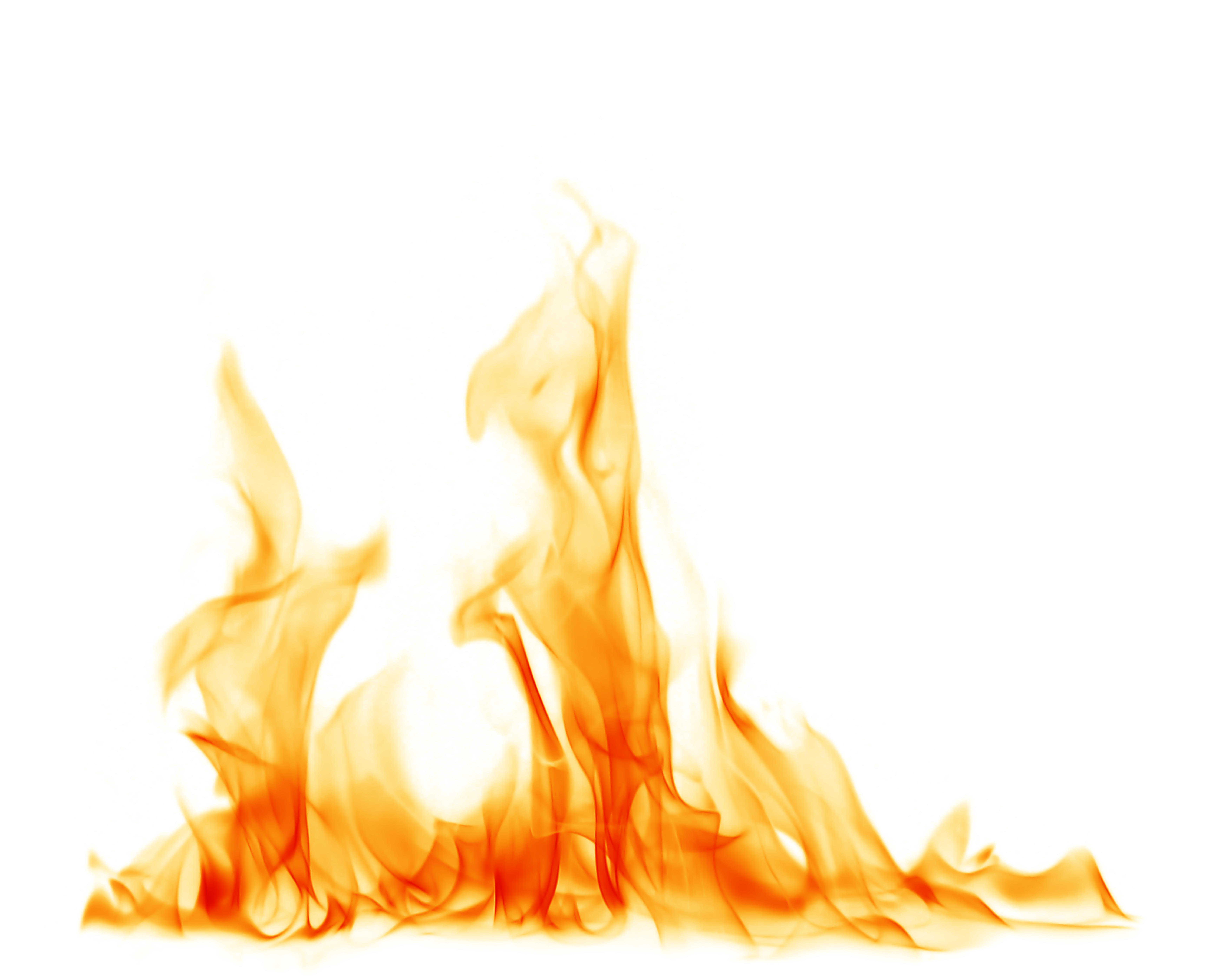 DNR and Park Rapids respond to fire near Two Inlets - Vimarsana News