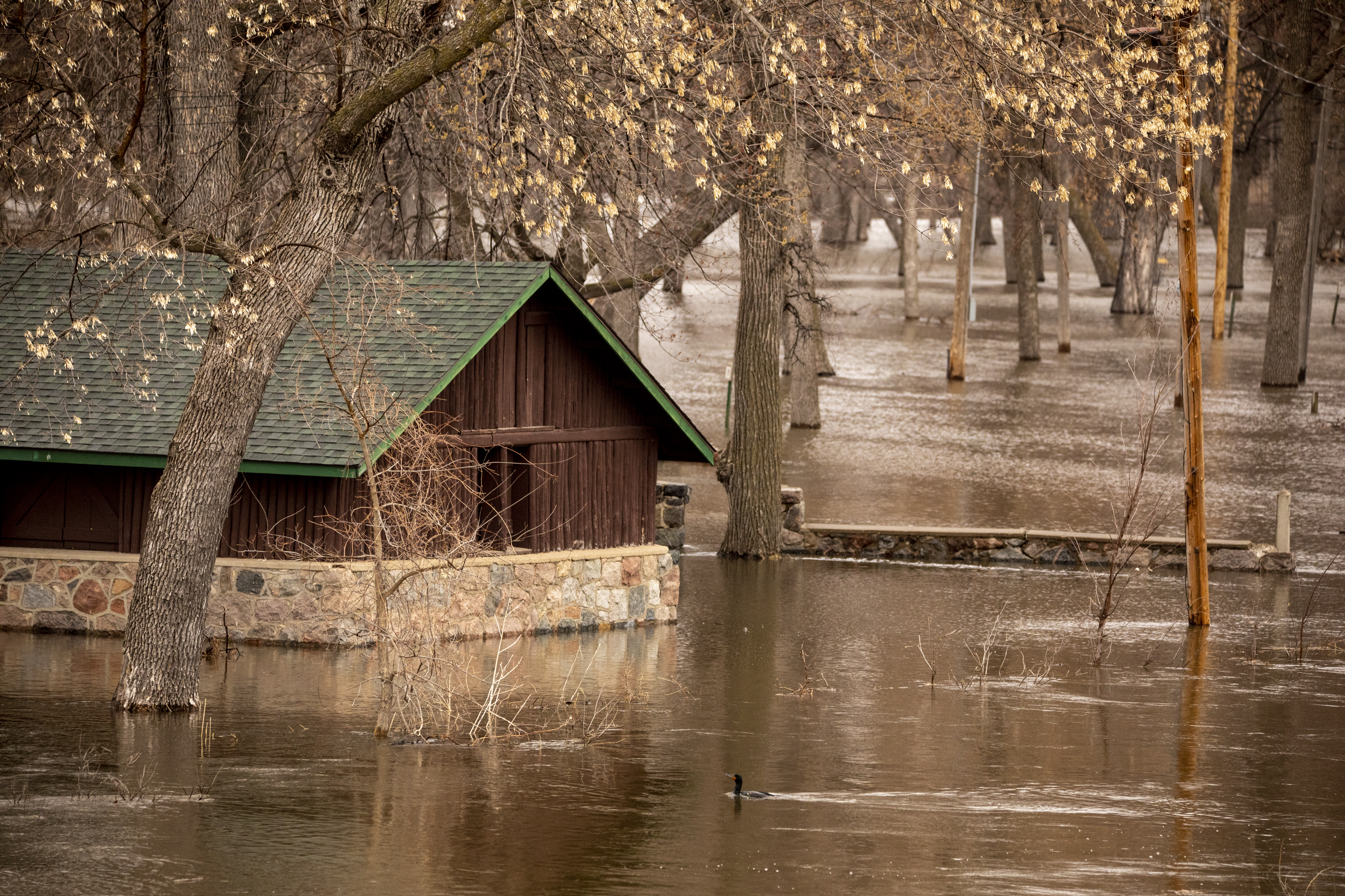 Minnesota River and others expected to rise this week - Vimarsana News