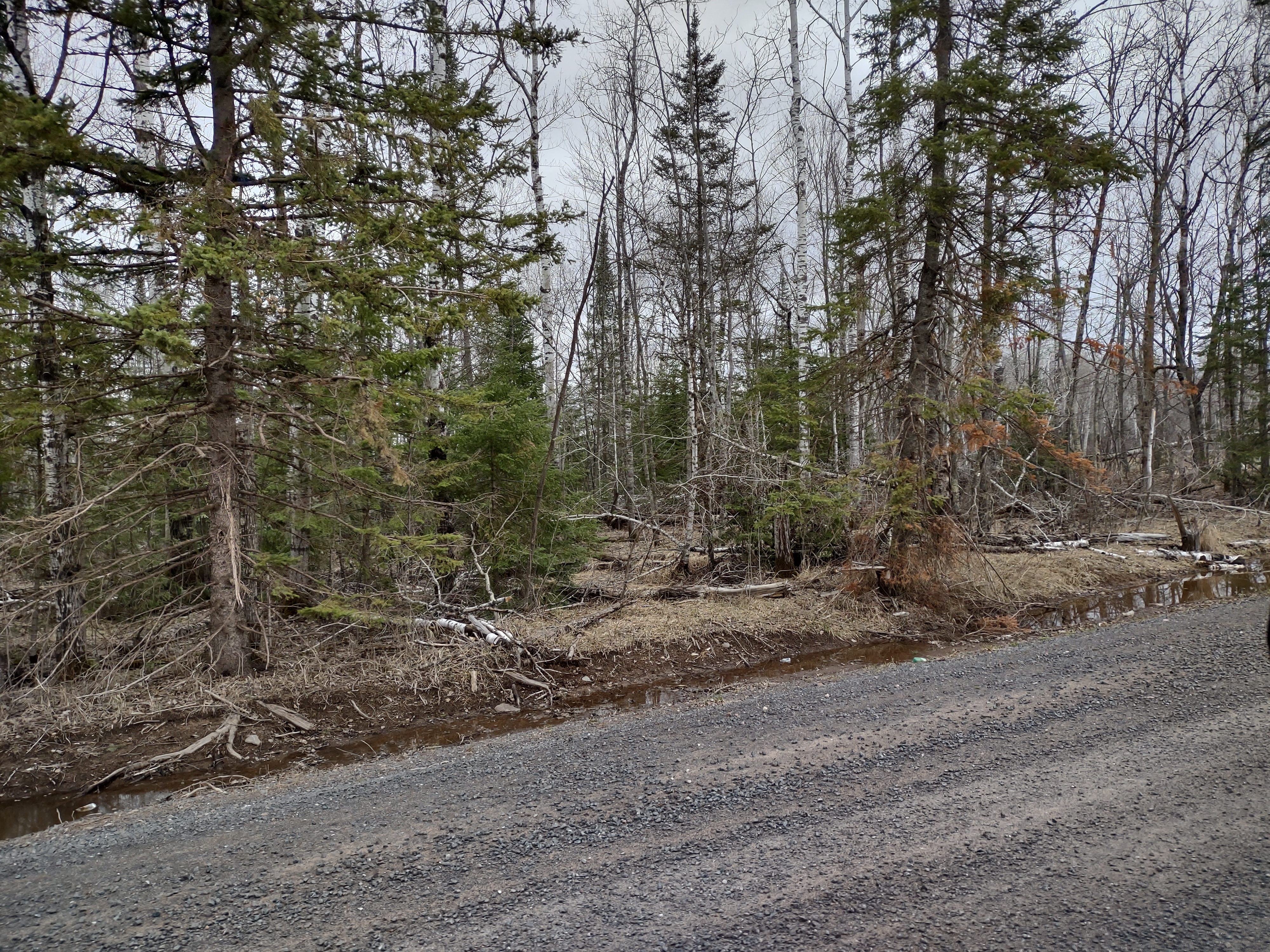 Douglas County begins assessing winter storm damage - Vimarsana News