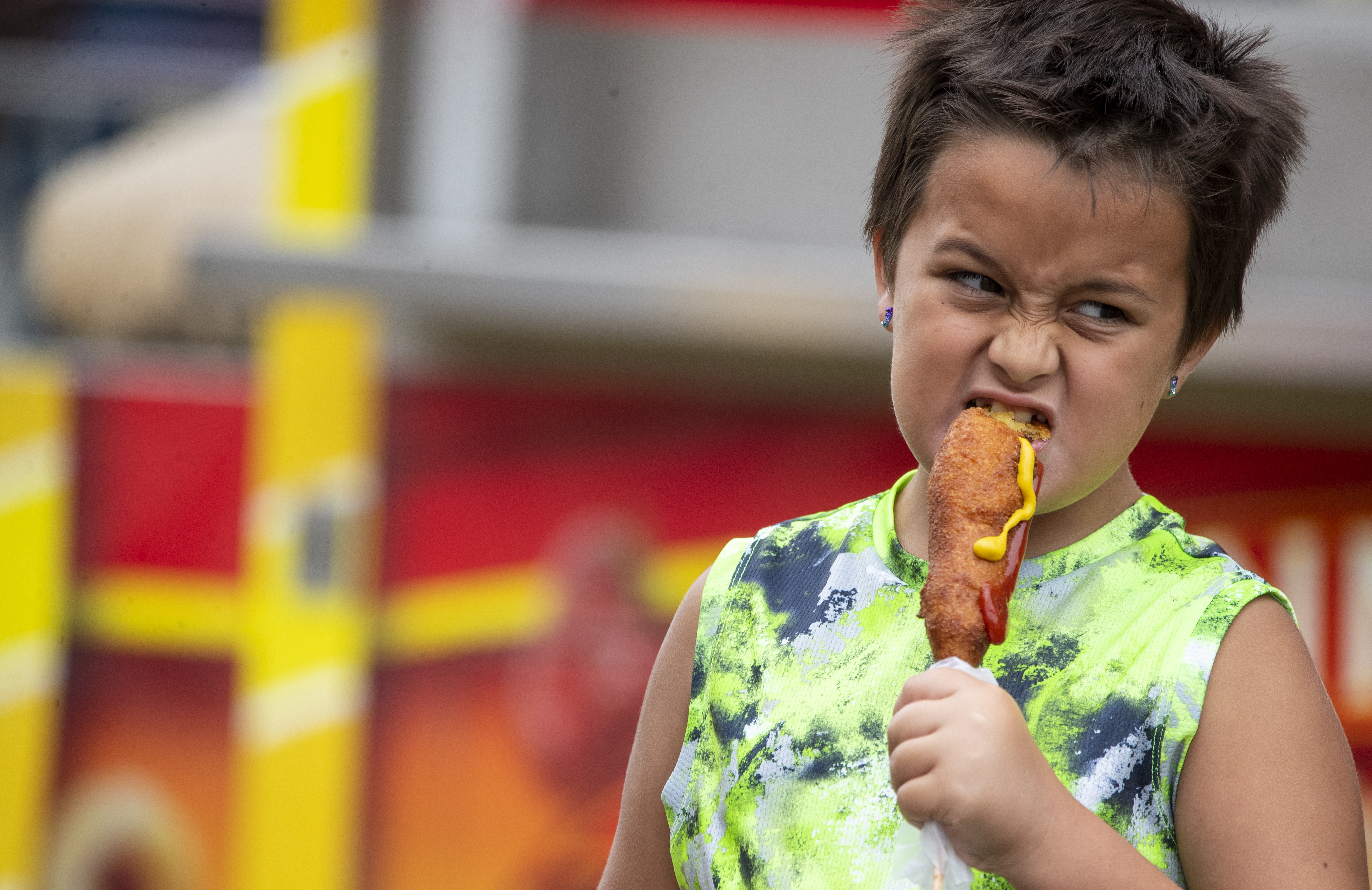 Summer in Minnesota also means it's county fair season - Vimarsana News