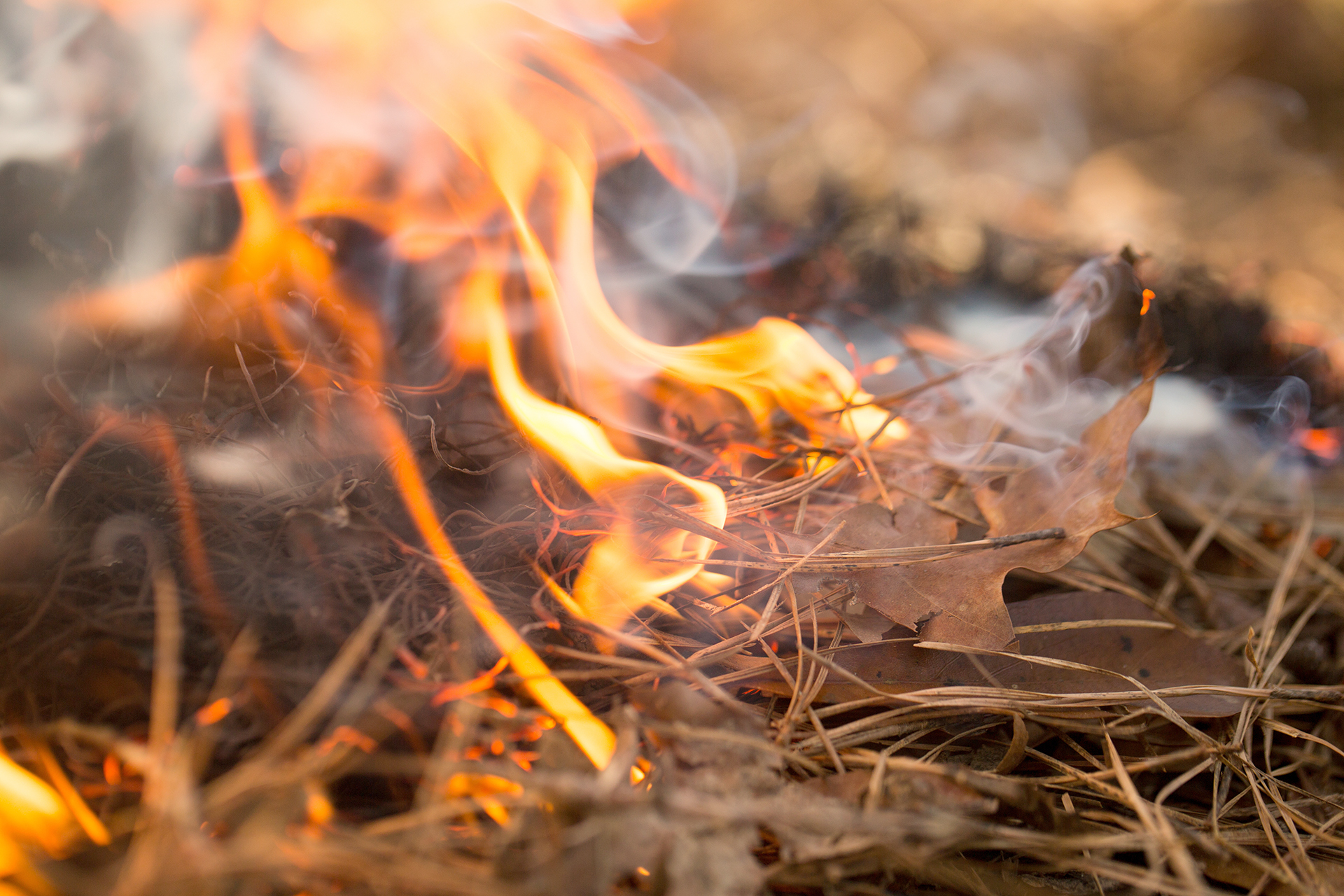 Spring fire danger is highest until green up - Vimarsana News