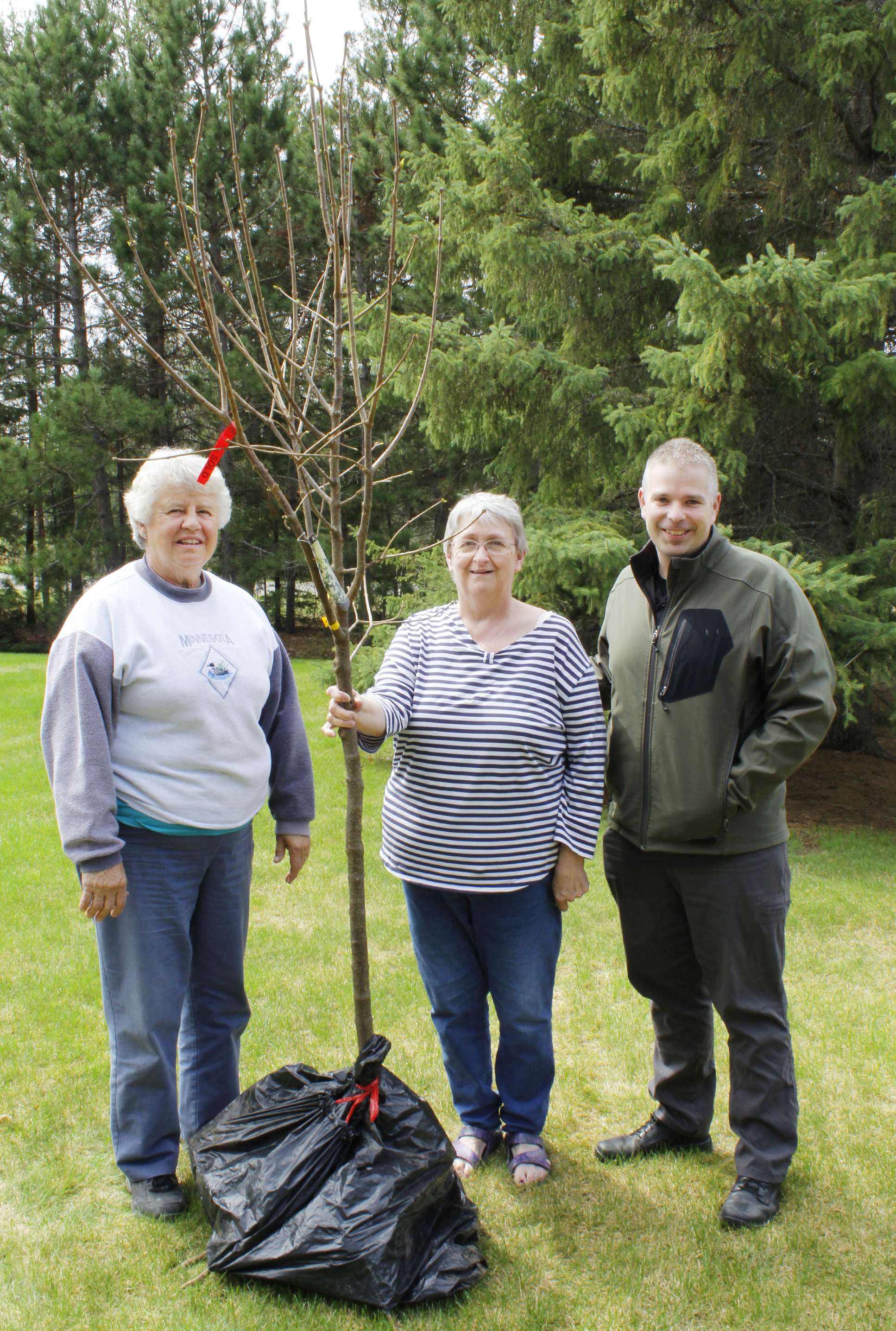 Park Rapids offering Arbor Day tree giveaway - Vimarsana News